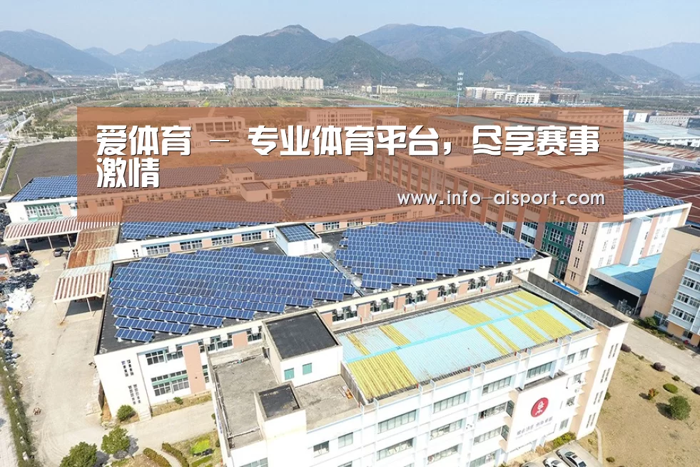 案例展示一