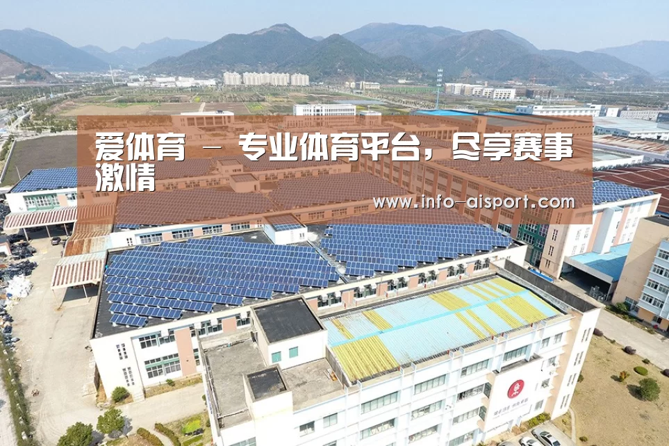 案例展示四