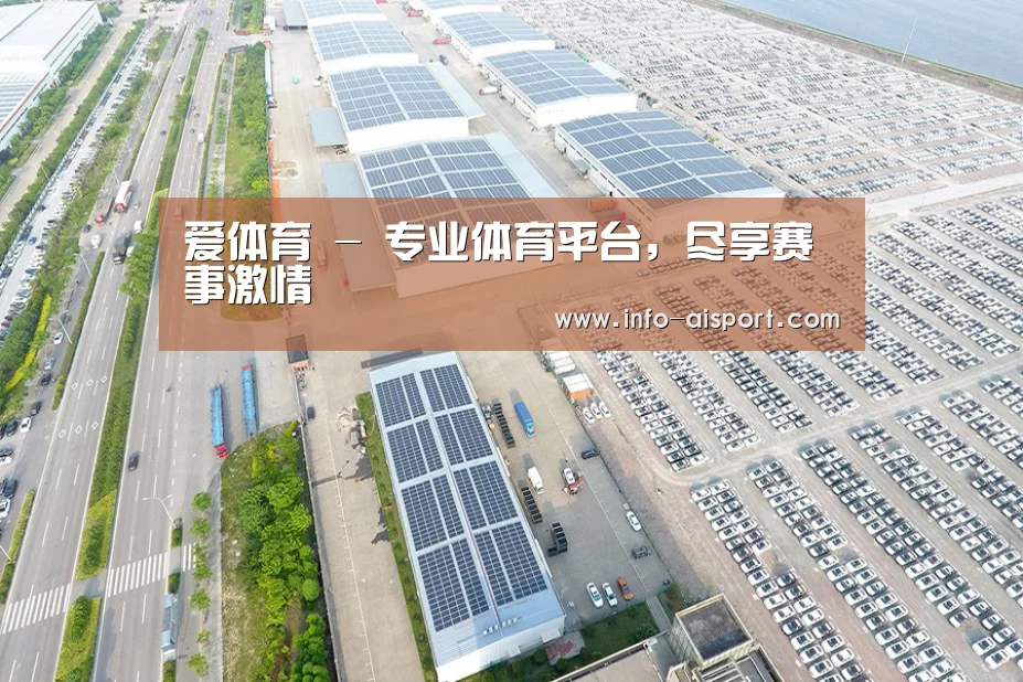 案例展示一