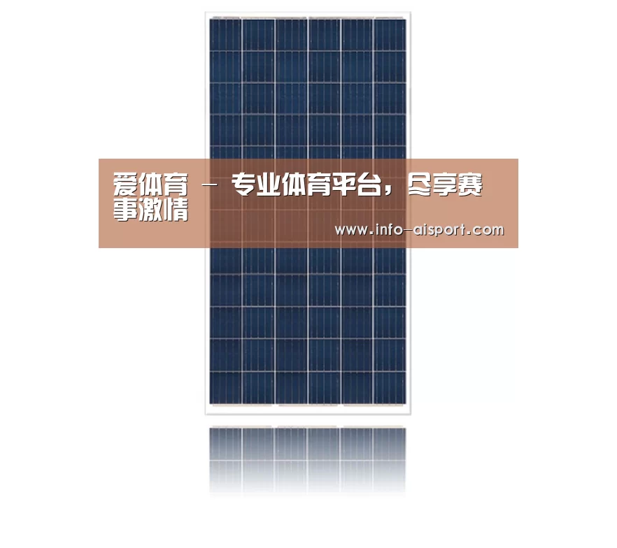 产品名称一