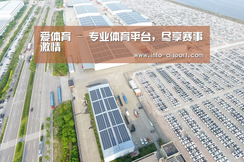 案例展示二